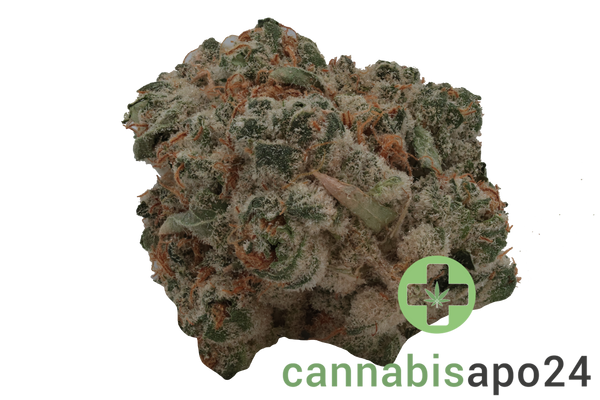 420 Evolution 25/1 CA PCH Peach Chementine
