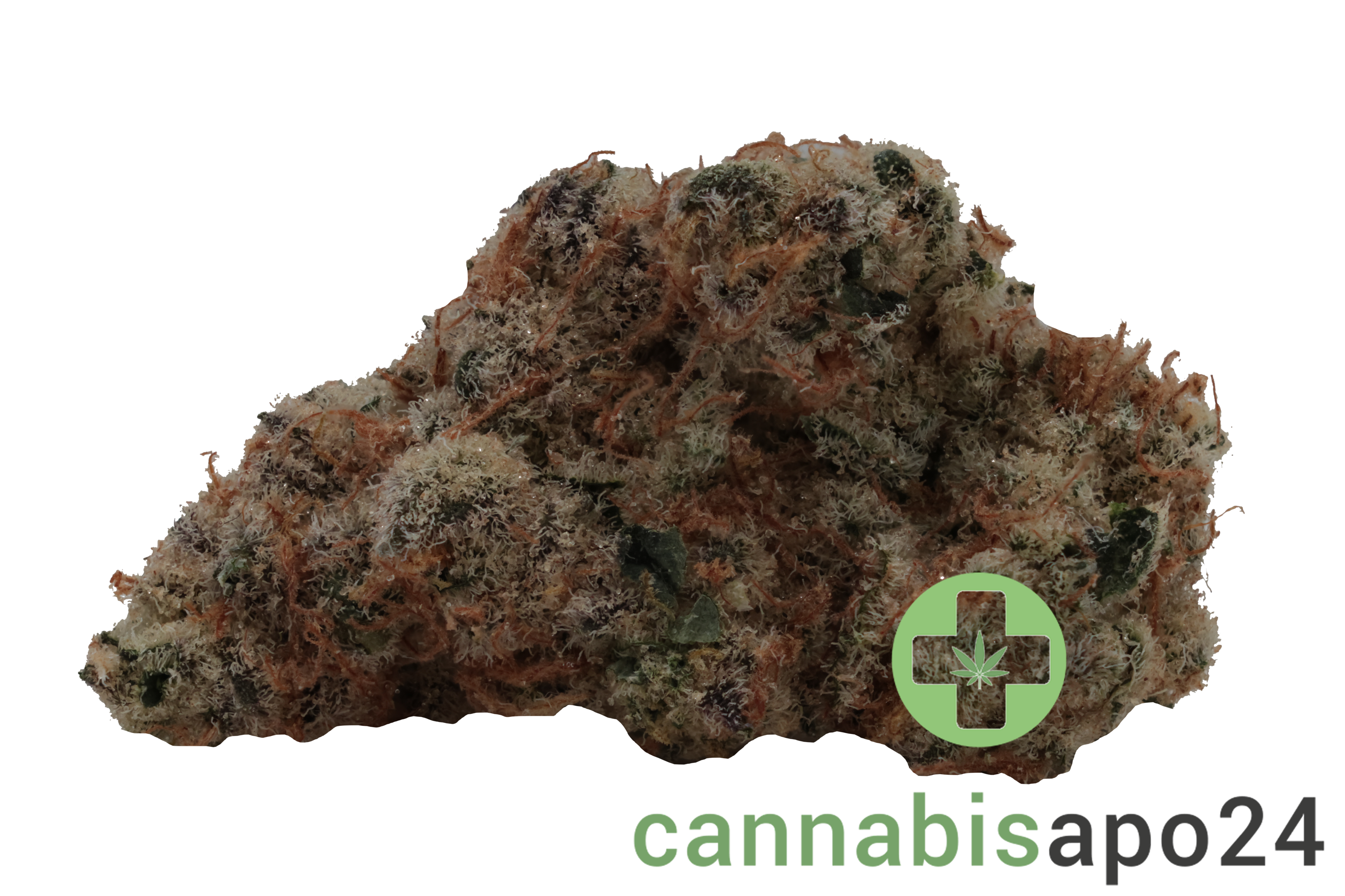 420 Evolution 30/1 CA MSP Masterpiece