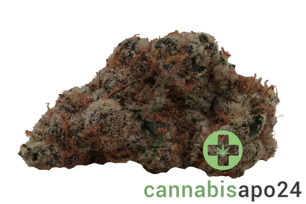 420 Evolution 30/1 CA MSP Masterpiece