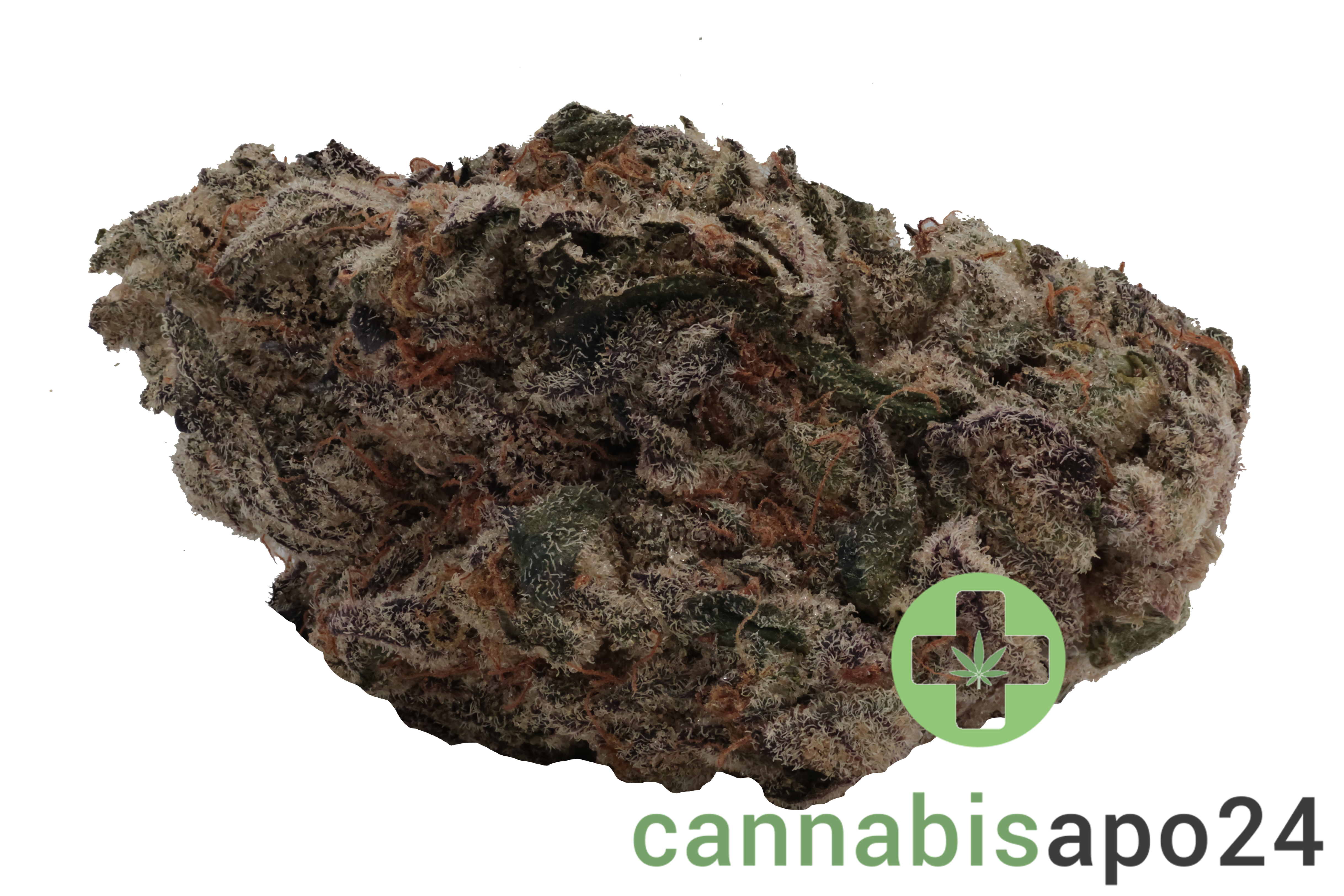 420 Evolution 33/1 CA MFG Modified Grapes