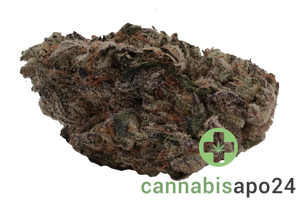 420 Evolution 33/1 CA MFG Modified Grapes