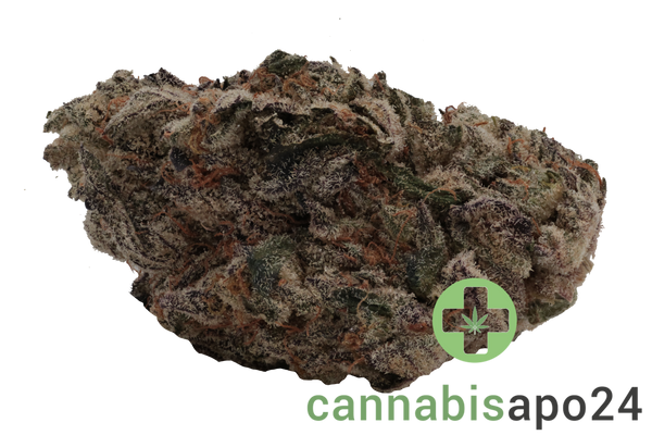 420 Evolution 33/1 CA MFG Modified Grapes