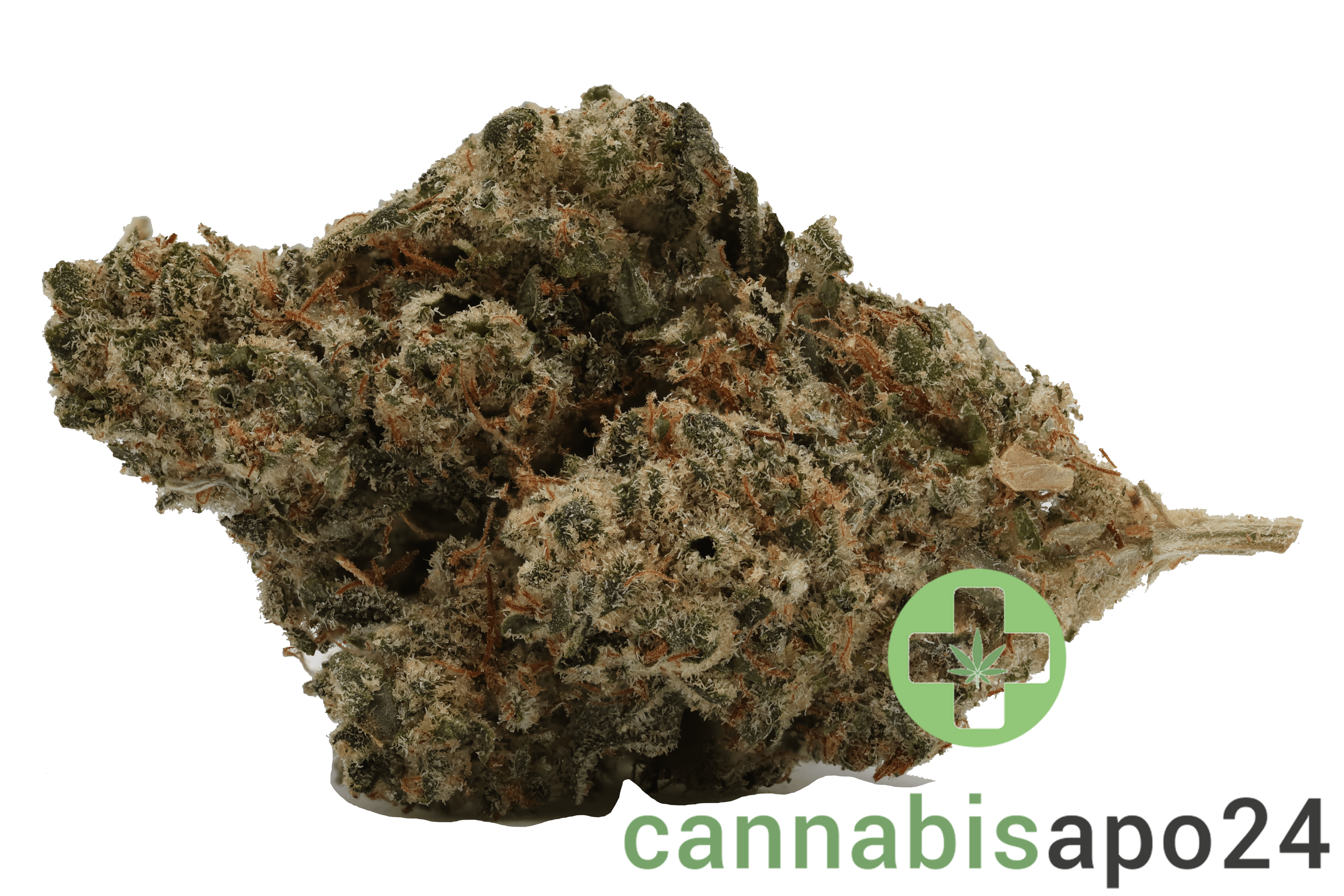420 Natural 20/1 CA GG4