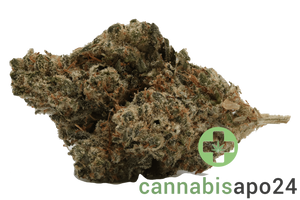 420 Natural 20/1 CA GG4