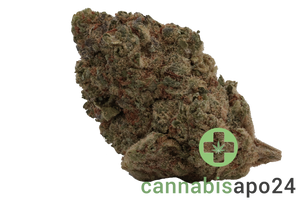 Bava Med 21/1 LEM-SK Lemon Skunk