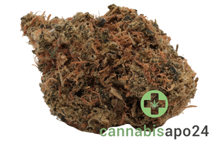 AVAAY 24/1 SK - Sour Kush