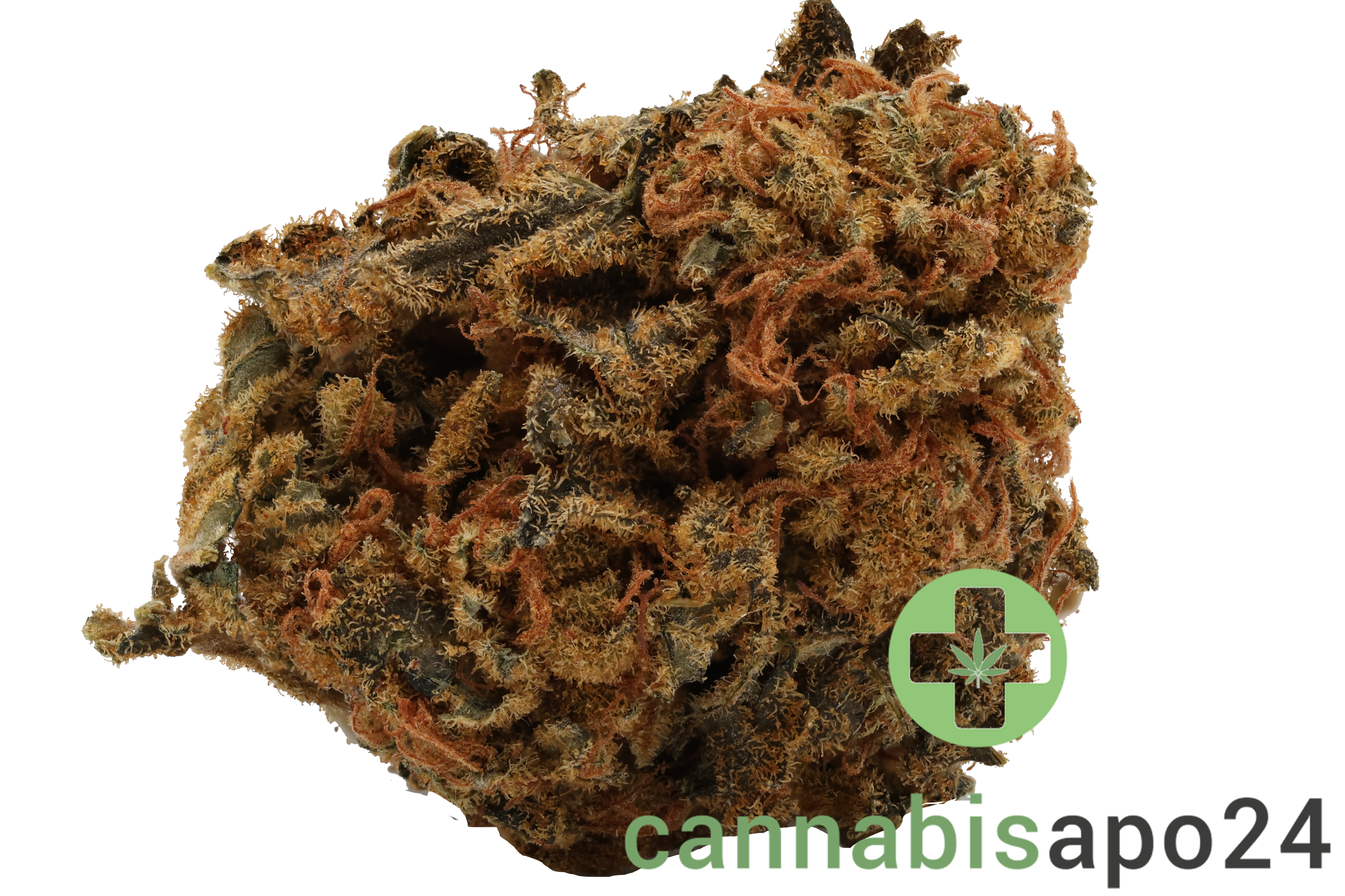CM Indica light Kade's Kush