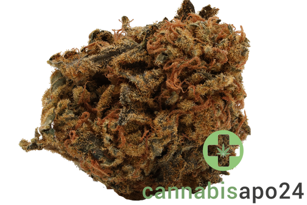 CM Indica light Kade's Kush