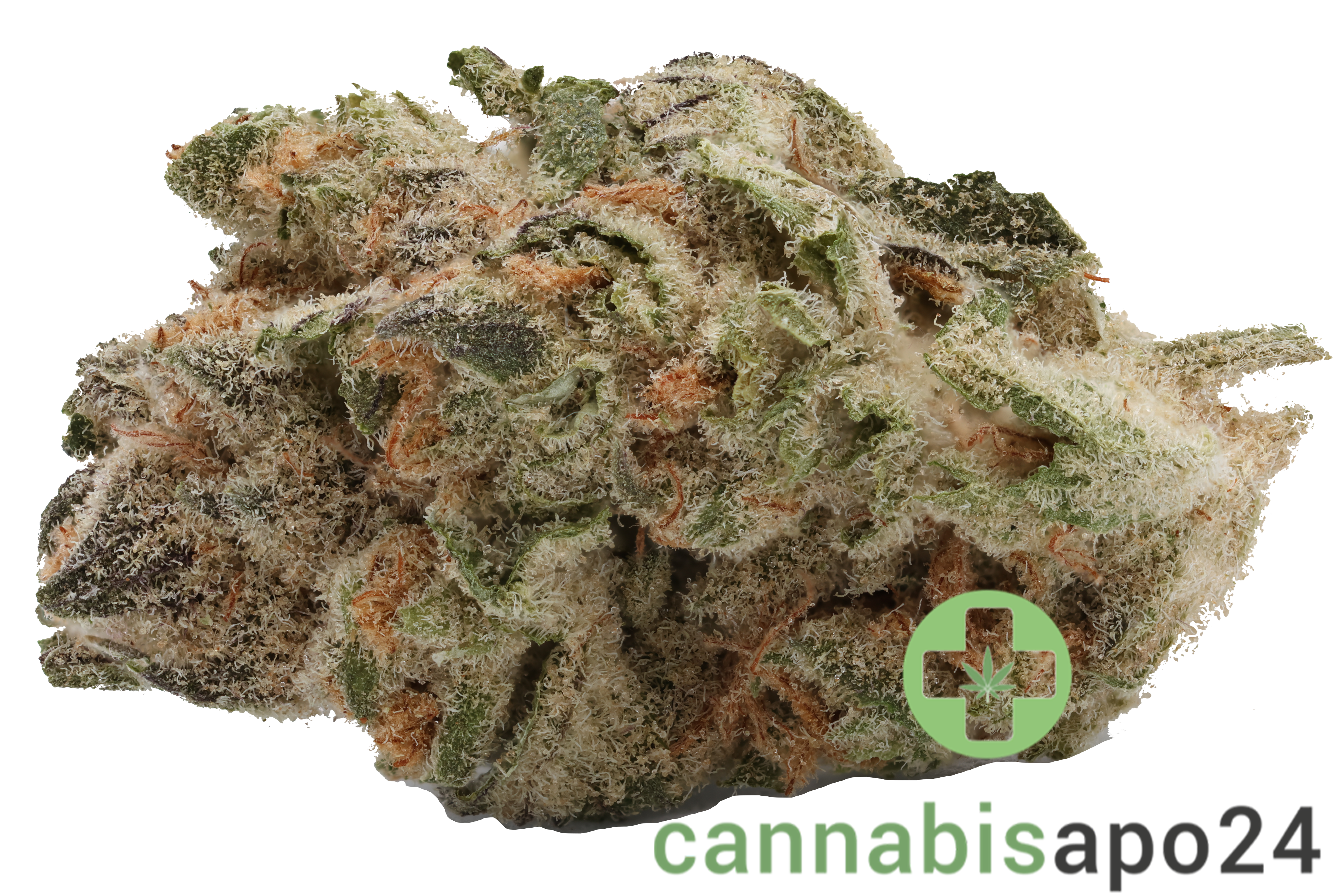 AVAAY 22/1 BCP - Black Cherry Punch