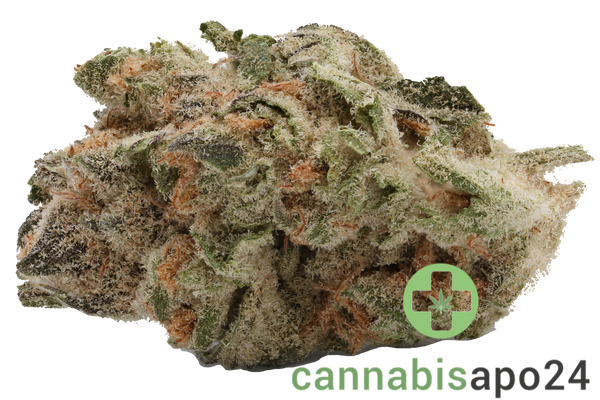 AVAAY 22/1 BCP - Black Cherry Punch