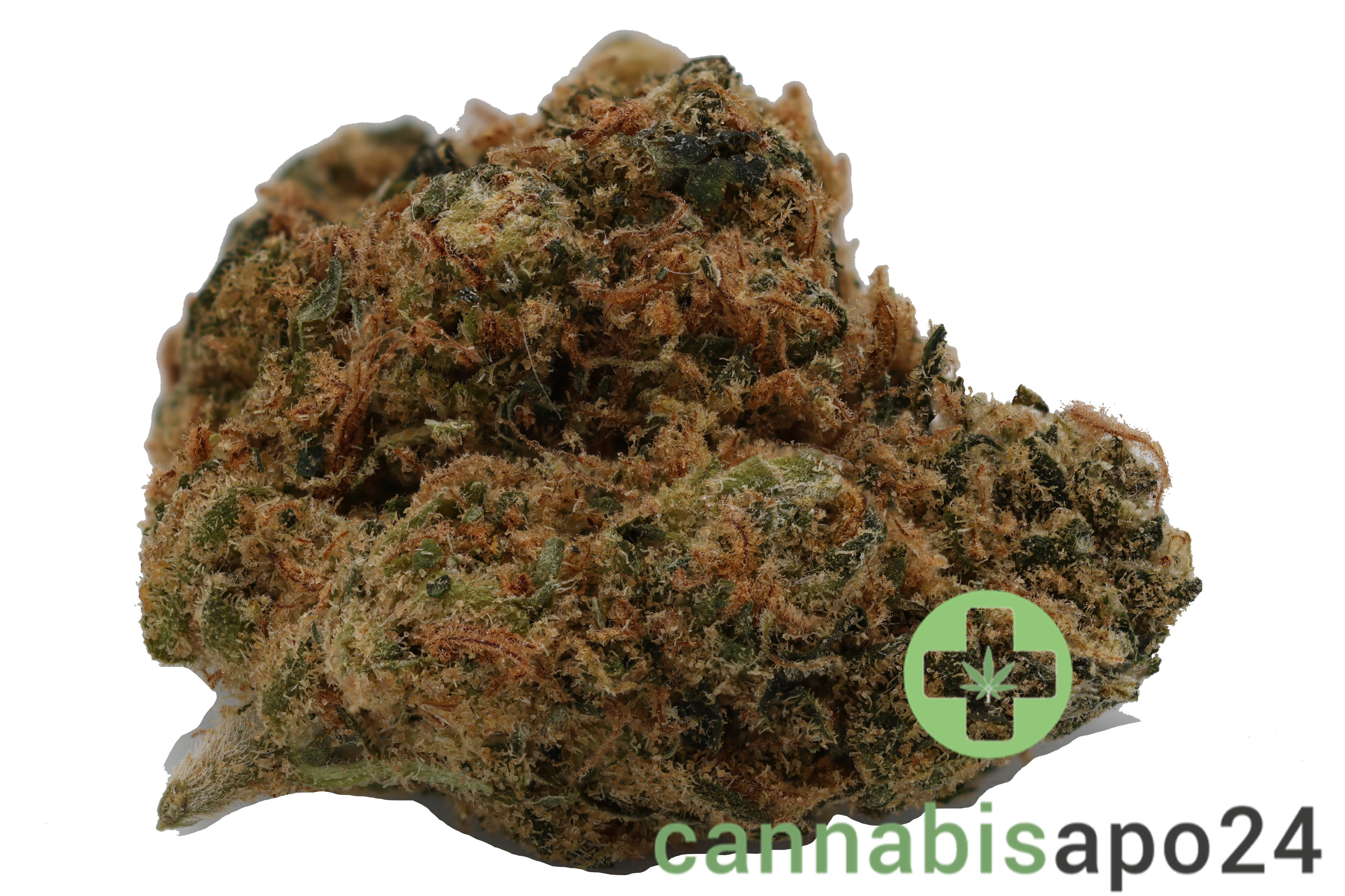 AVAAY 23/1 Critical Kush