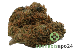 AVAAY 23/1 Critical Kush