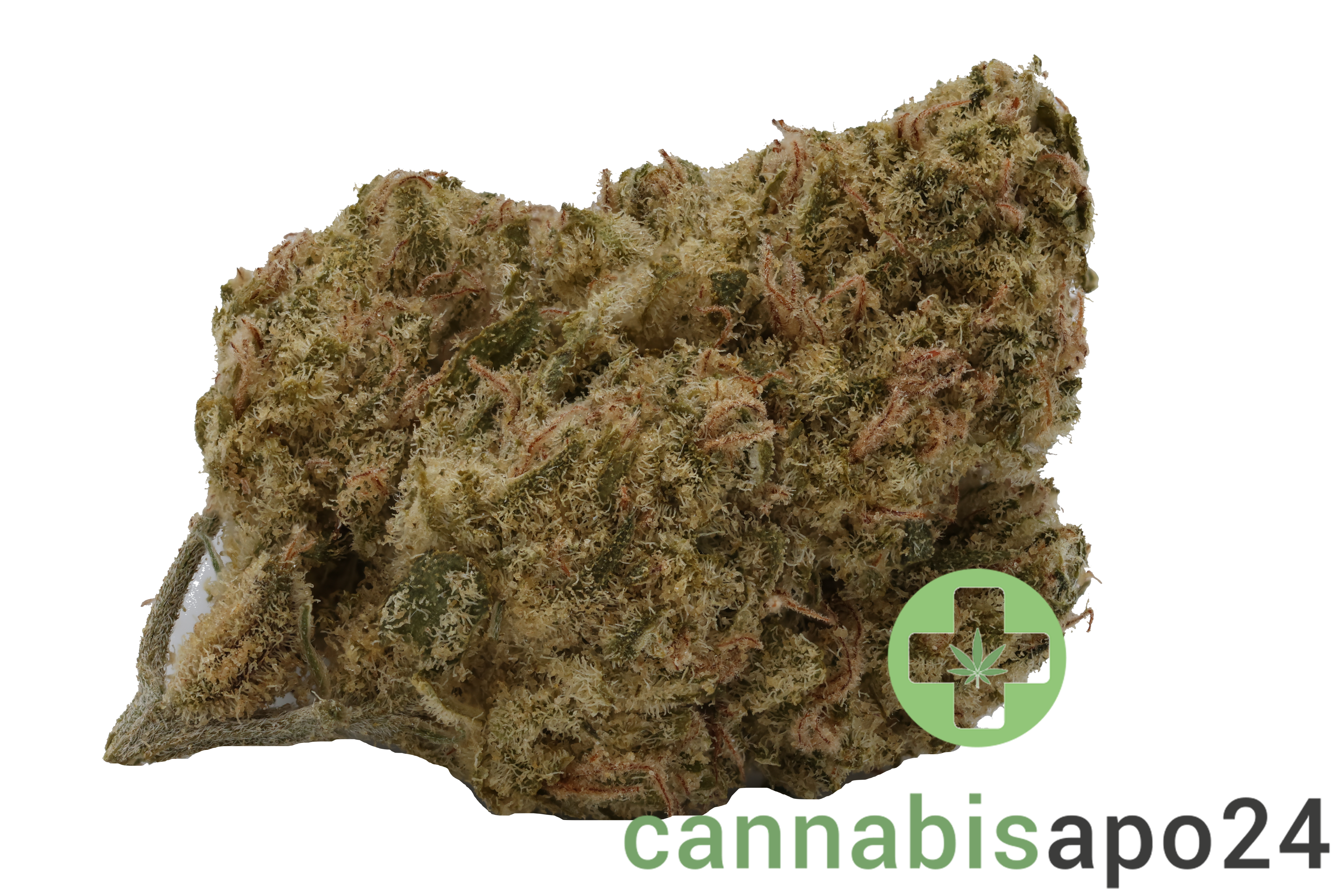 AVAAY 23/1 PYC - Peyote Critical