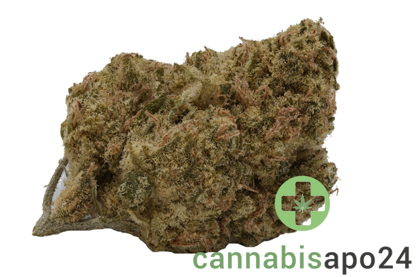 AVAAY 23/1 PYC - Peyote Critical