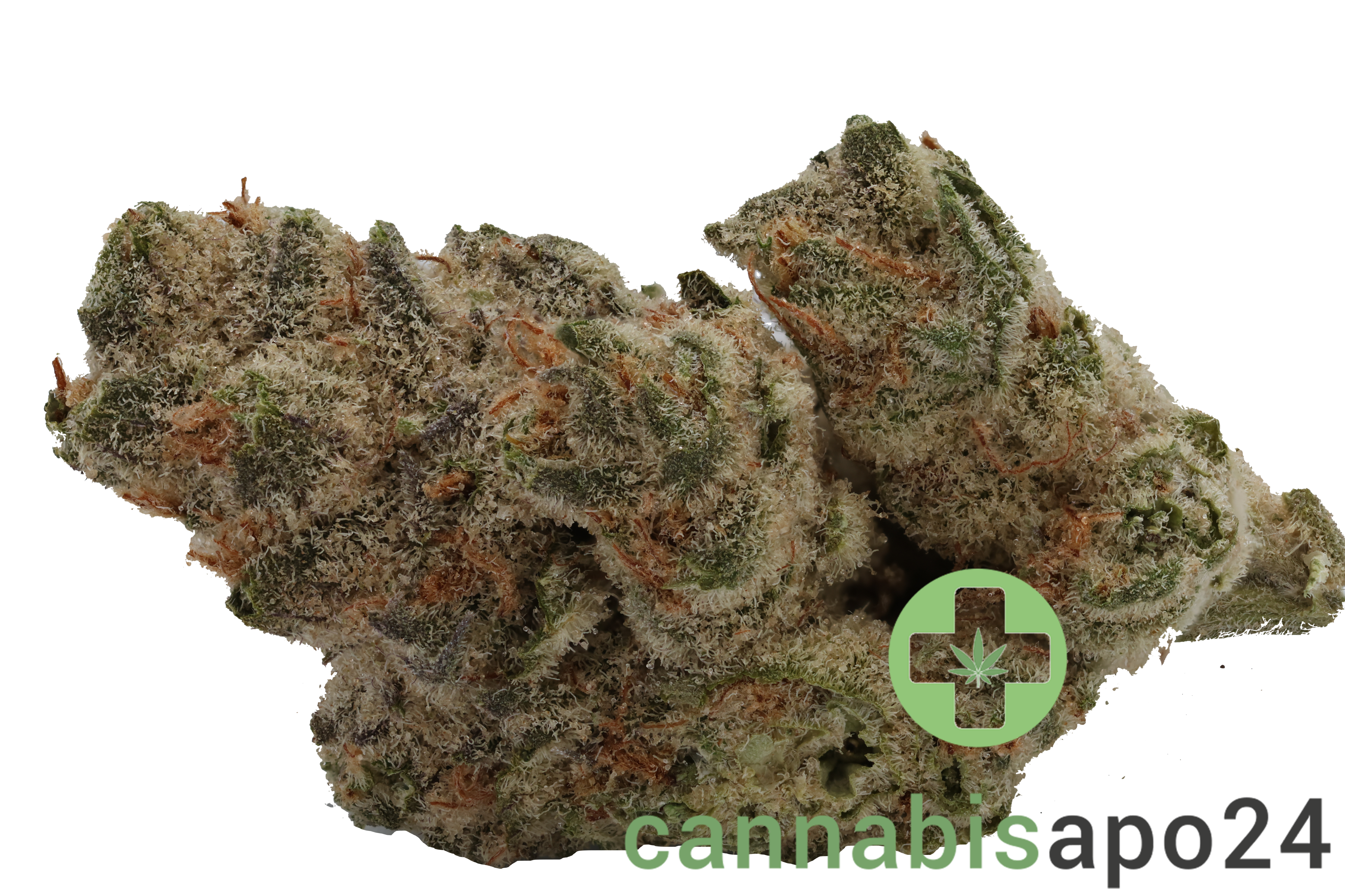 AVAAY 26/1 BCP - Black Cherry Punch