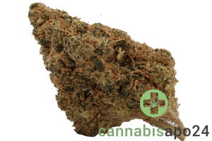 AVAAY 26/1 SK - Sour OG Kush