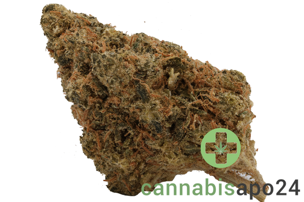 AVAAY 26/1 SK - Sour OG Kush