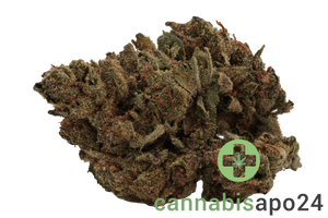 Adrex 15 day COL - Gelato