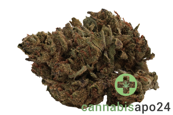 Adrex 15 day COL - Gelato