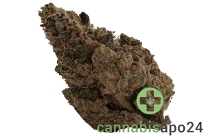 All Nations FG 25/1 Frosted Gelato