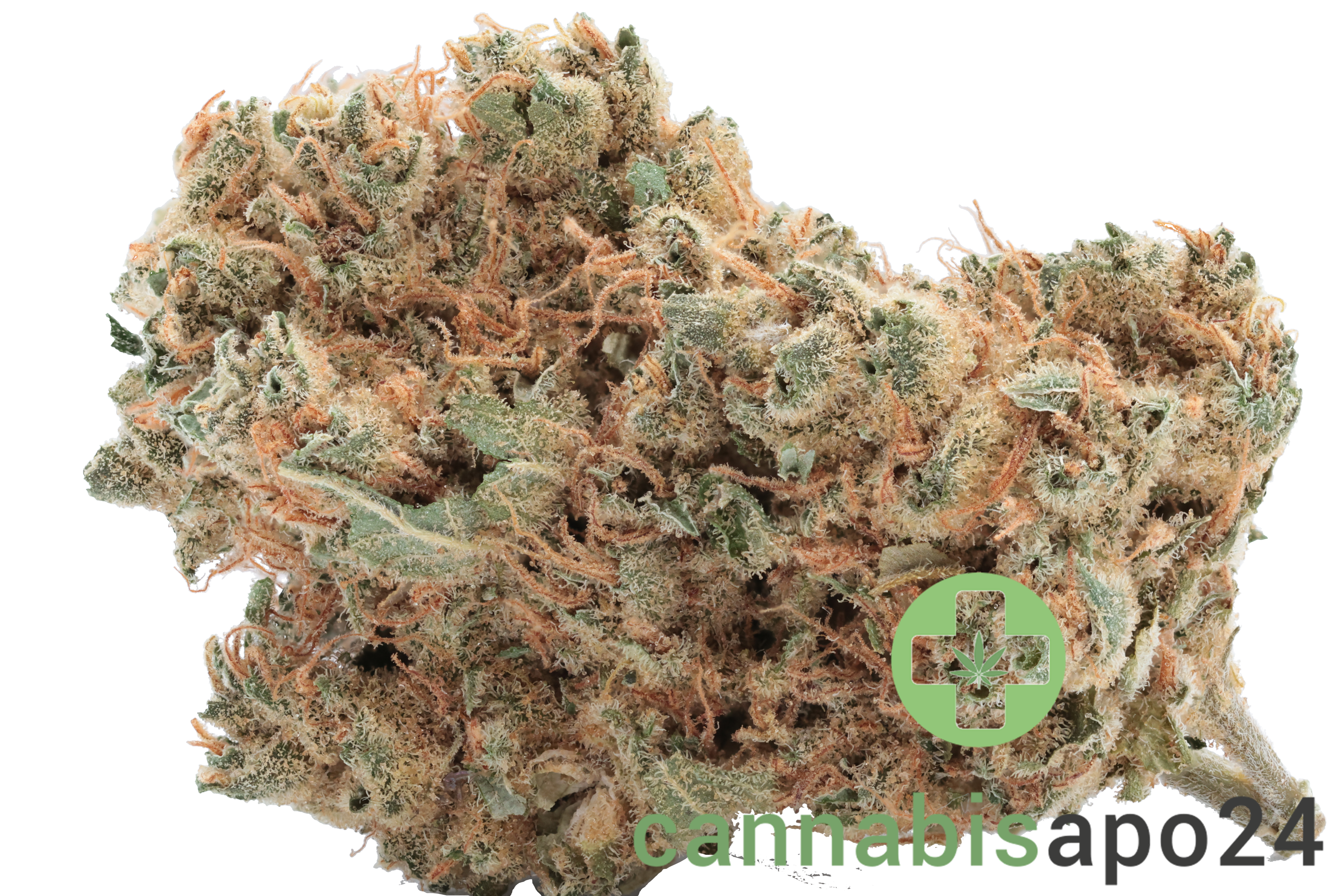 Althea THC24