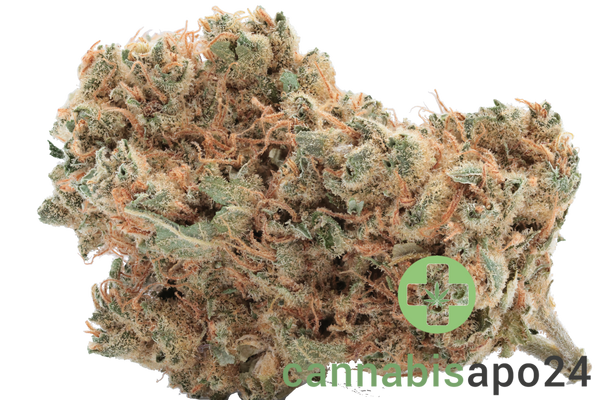 Althea THC24