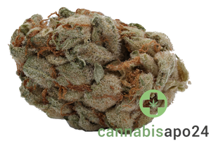 25/1 Amici Cannabisblüten CP