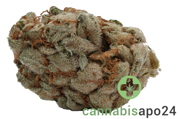 25/1 Amici Cannabisblüten CP