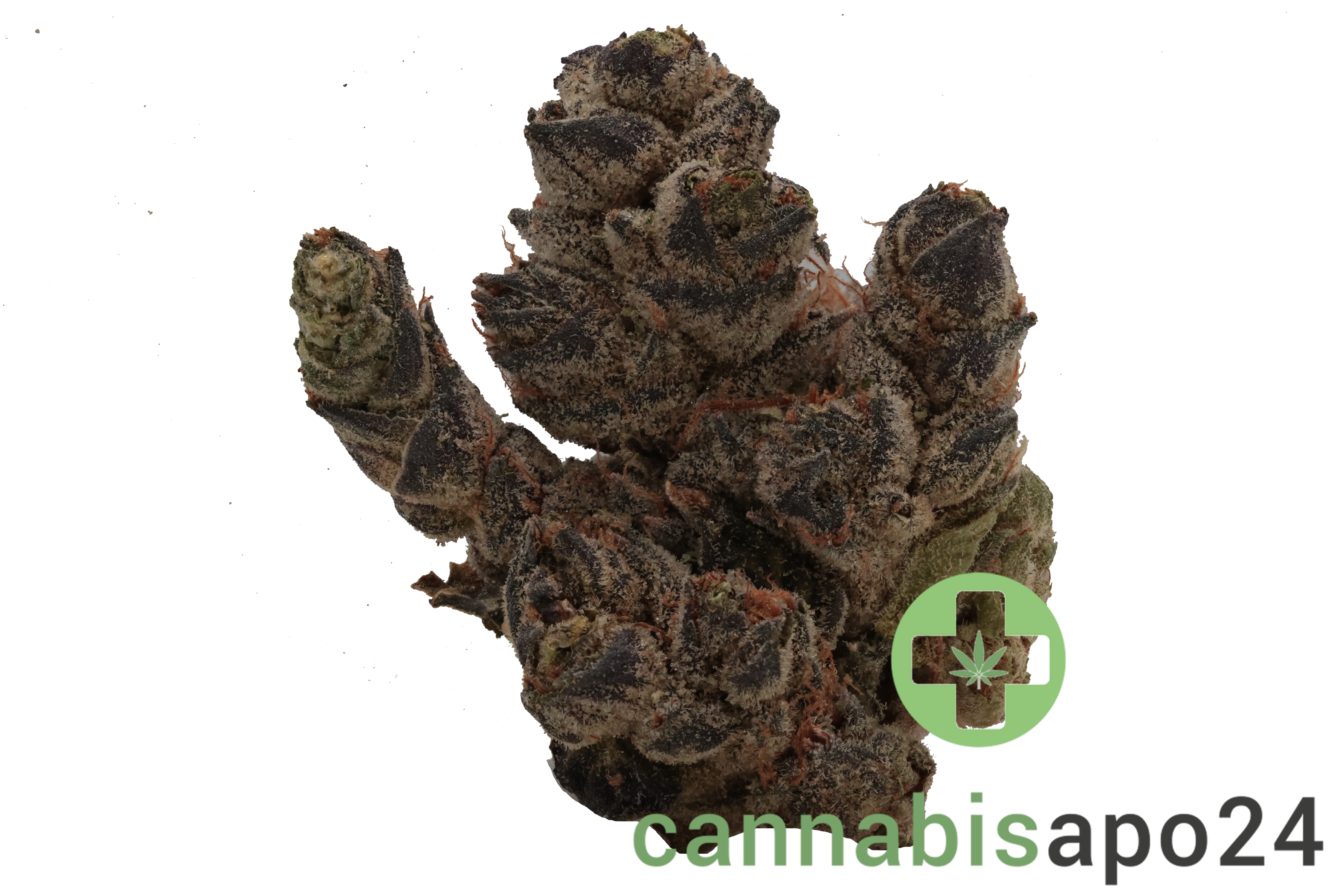 BC GREEN 27/1 HGH