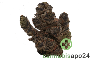 BC GREEN 27/1 HGH