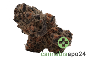 BLKMKT THC 24 CM Cereal Milk