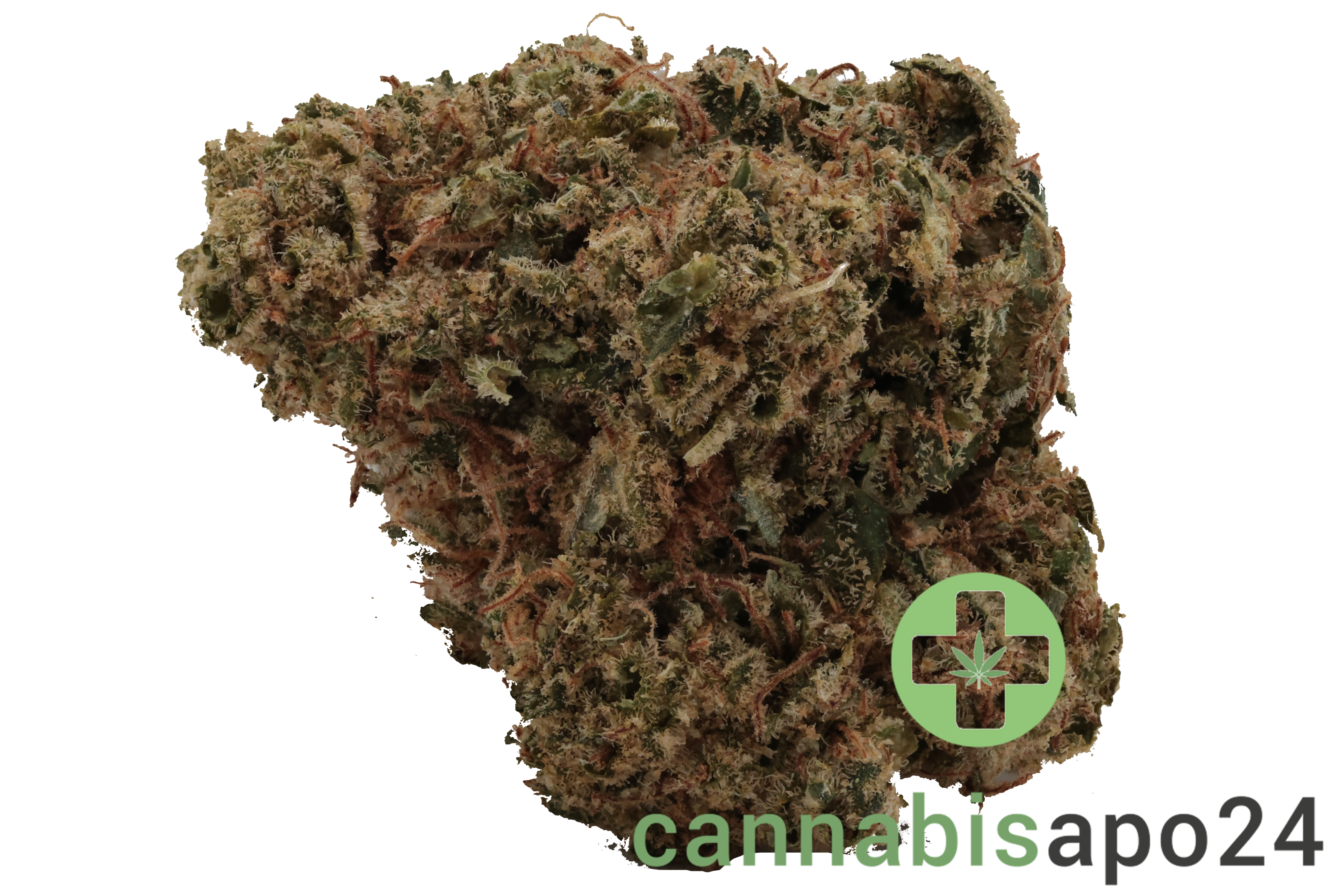 Beacon GO T23 - Galactica OG