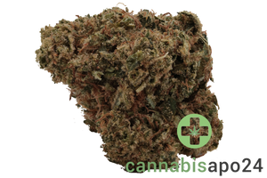 Beacon GO T23 - Galactica OG