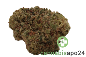 Big Dreams 21/1 PSF PK Pink Kush