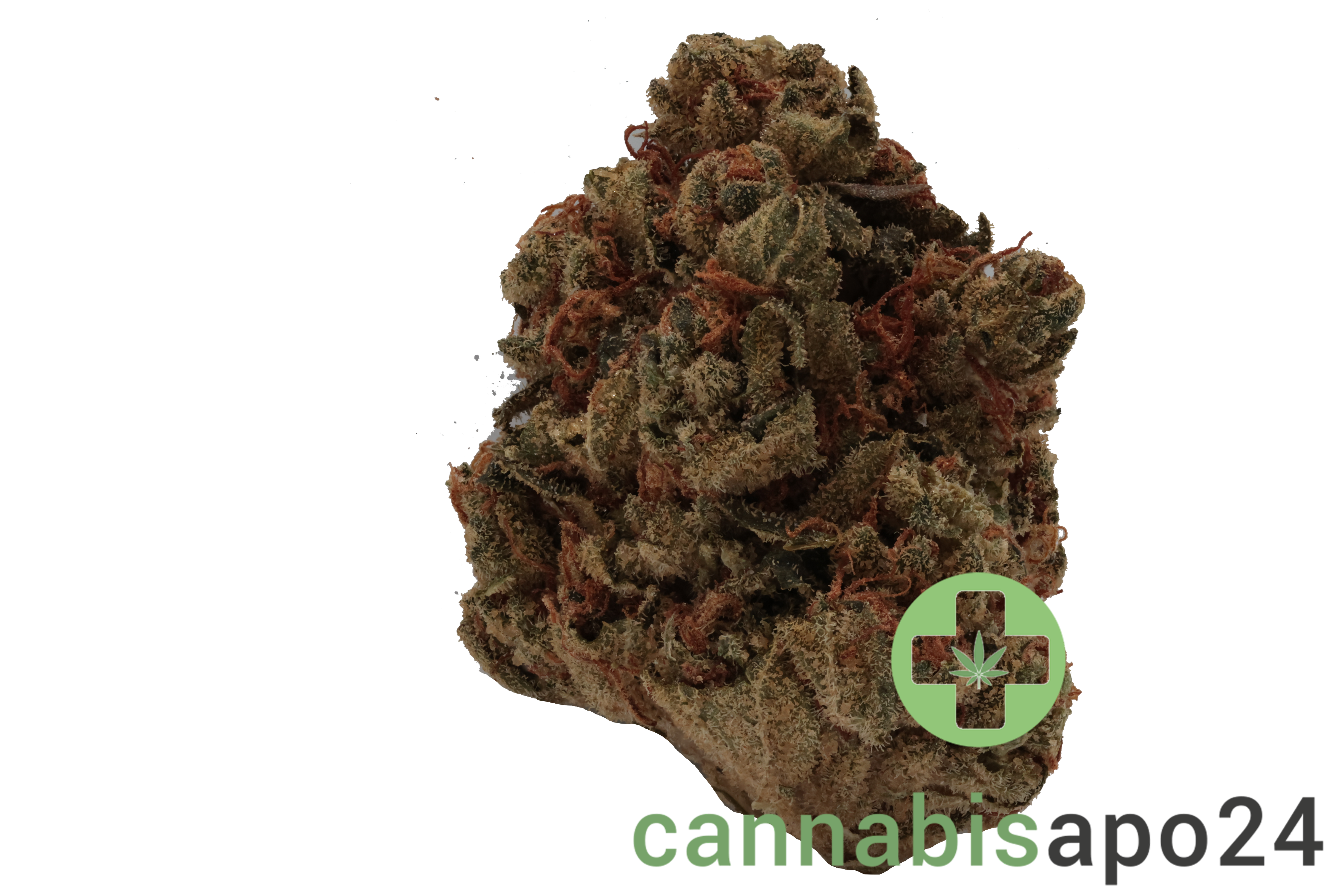 CM 24/1 OG Kush