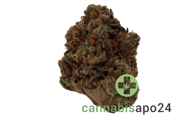 CM 24/1 OG Kush
