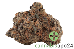 CM 24/1 PG - Platinum Grapes