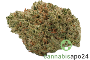 Cannamedical CM 24/1 Sun - Sweet Sunrise