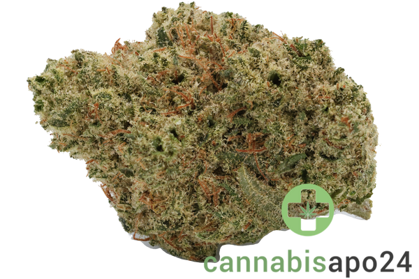 Cannamedical CM 24/1 Sun - Sweet Sunrise