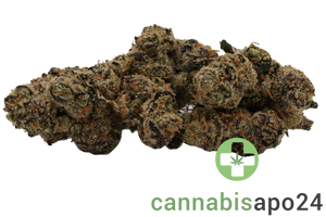 Cannamedical CM 27/1 Gelati Punch