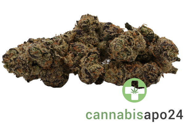 Cannamedical CM 27/1 Gelati Punch