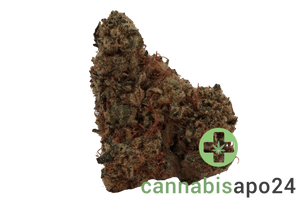 CM 28/1 Diamond Mints