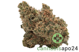 Cannamedical CM 28/1 ZA