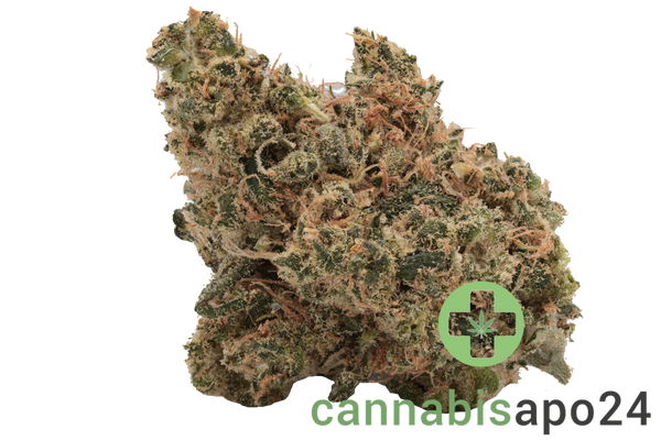 Cannamedical CM 28/1 ZA