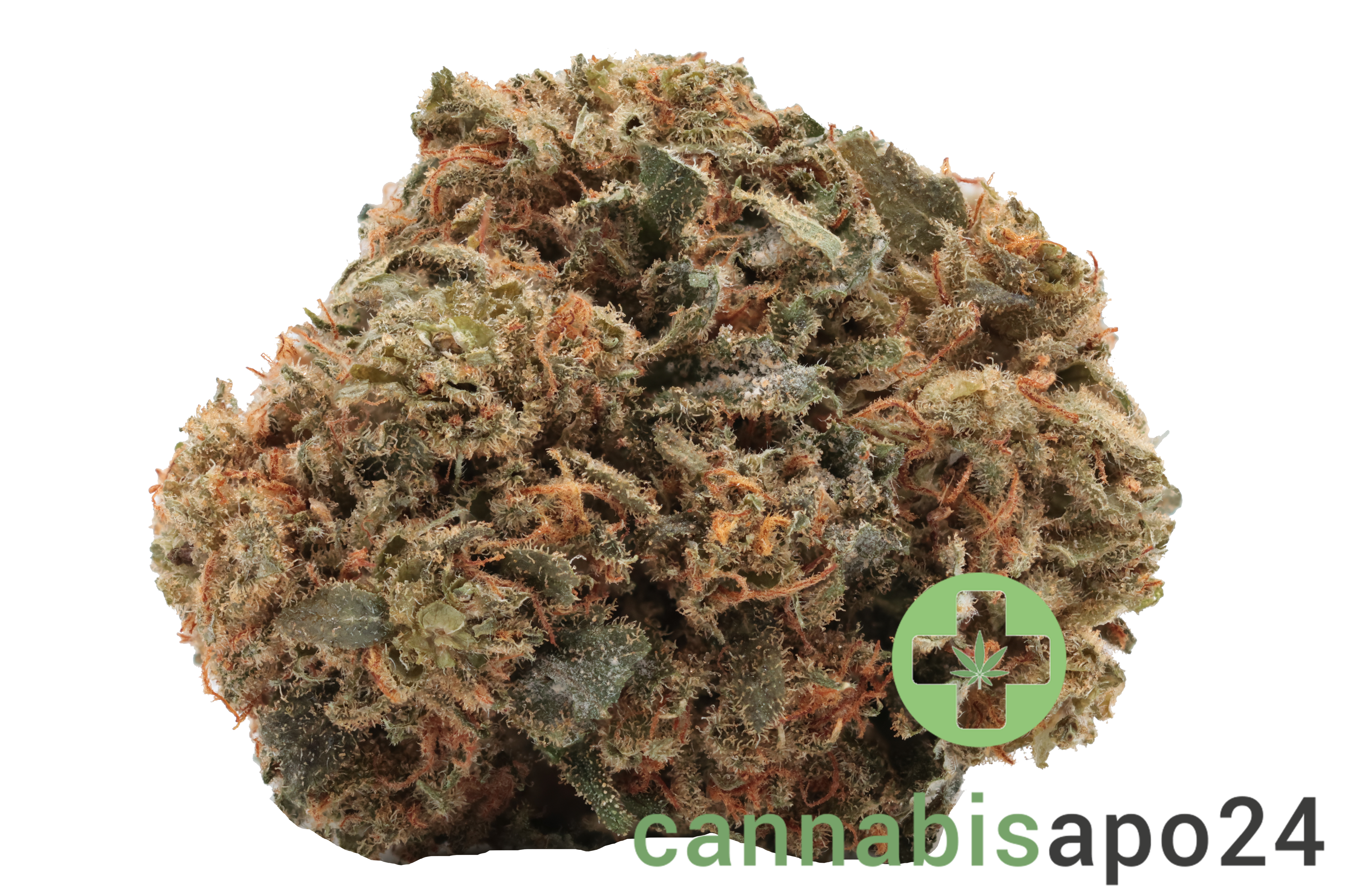 Cannamedical Balanced forte Mango Haze