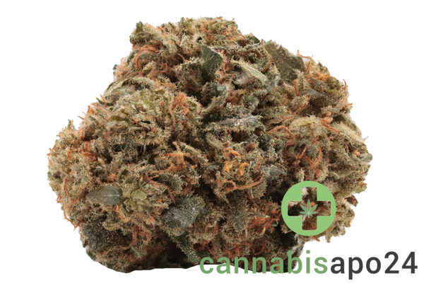 Cannamedical Balanced forte Mango Haze