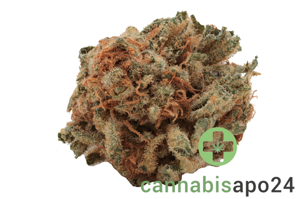 Cannamedical Balanced light