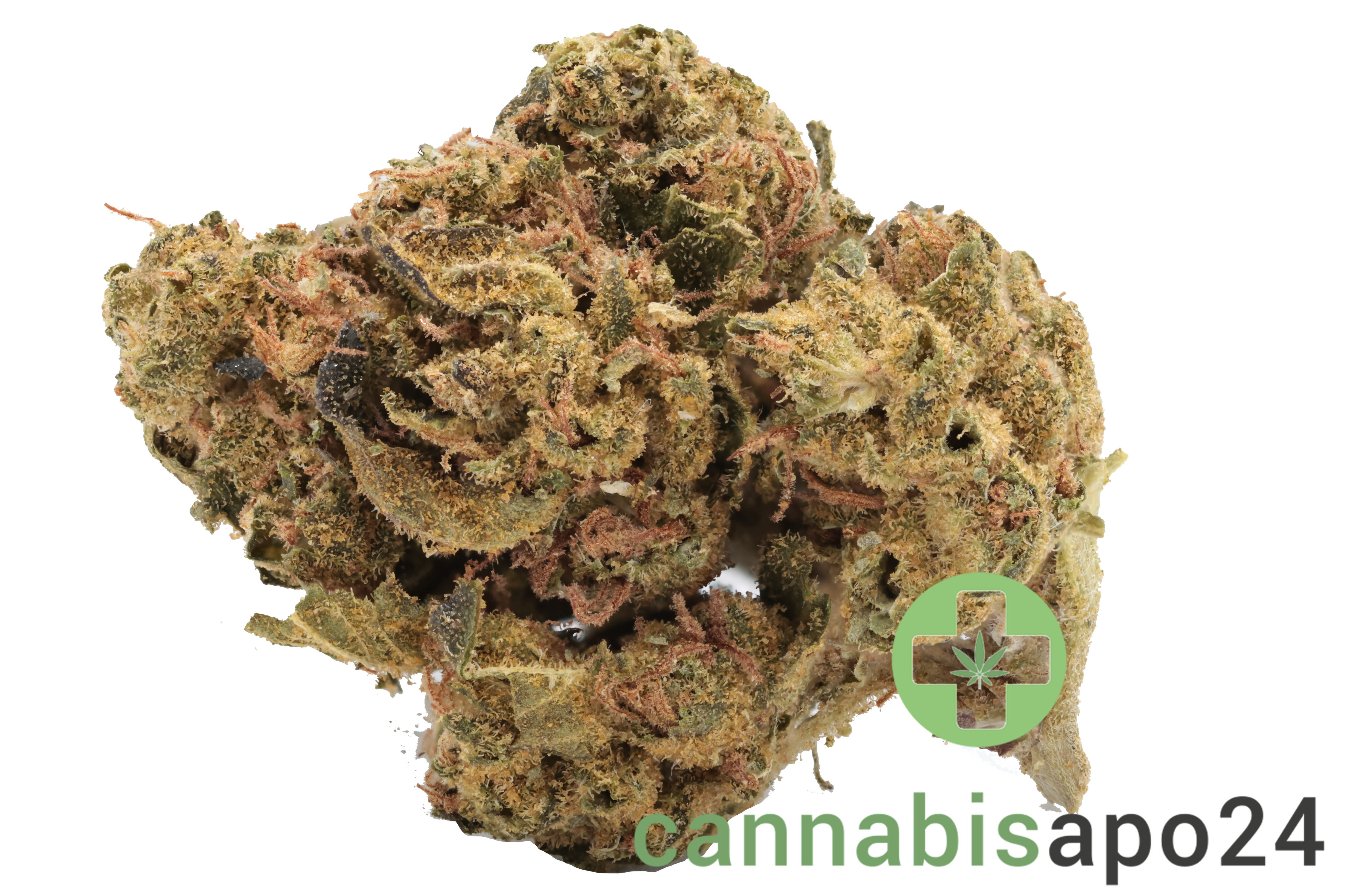 Cannamedical Indica classic URY - Dawg Bud Fusion