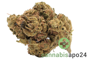 Cannamedical Indica classic URY - Dawg Bud Fusion