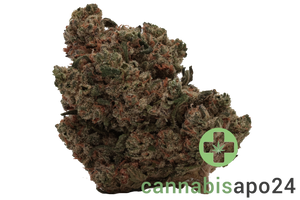 Cannamedical Hybrid classic - Fullgas
